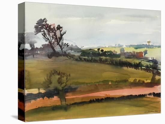 The Farm Road, 1981-Brenda Brin Booker-Stretched Canvas
