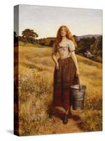 The Farmer's Daughter-John Everett Millais-Stretched Canvas