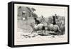 The Farmer Soon Heard Where His Sheep Went Astray, 1890-null-Framed Stretched Canvas