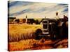The Farmer-Markus Bleichner-Stretched Canvas