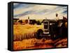 The Farmer-Markus Bleichner-Framed Stretched Canvas