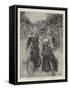 The Fashion of the Hour, Lady Cyclists in Battersea Park-null-Framed Stretched Canvas