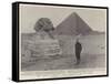 The Fashoda Question, Major Marchand and the Sphinx-null-Framed Stretched Canvas