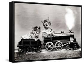 The Fast Express, 1914-Science Source-Framed Stretched Canvas