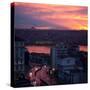 The Fatih Mosque at Sunset with the Golden Horn-Alex Saberi-Stretched Canvas