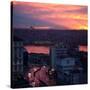 The Fatih Mosque at Sunset with the Golden Horn-Alex Saberi-Stretched Canvas