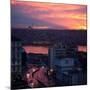 The Fatih Mosque at Sunset with the Golden Horn-Alex Saberi-Mounted Photographic Print