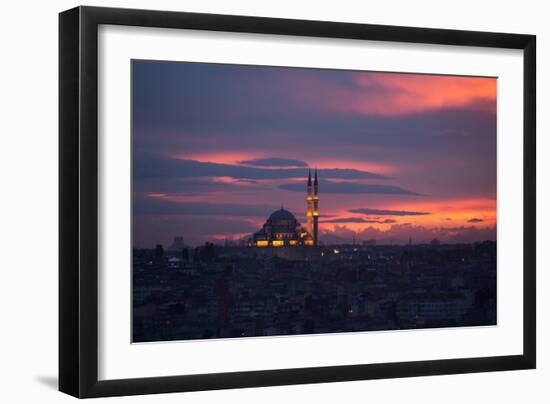 The Fatih Mosque at Sunset-Alex Saberi-Framed Premium Photographic Print