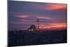 The Fatih Mosque at Sunset-Alex Saberi-Mounted Premium Photographic Print