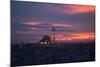 The Fatih Mosque at Sunset-Alex Saberi-Mounted Photographic Print