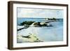 The Favorite, 1899-1901-Winslow Homer-Framed Premium Giclee Print