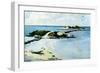 The Favorite, 1899-1901-Winslow Homer-Framed Premium Giclee Print