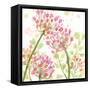 The Favorite Flowers I-Marabeth Quin-Framed Stretched Canvas