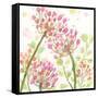 The Favorite Flowers I-Marabeth Quin-Framed Stretched Canvas