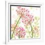 The Favorite Flowers I-Marabeth Quin-Framed Art Print