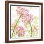 The Favorite Flowers I-Marabeth Quin-Framed Art Print