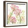 The Favorite Flowers I-Marabeth Quin-Framed Art Print