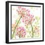 The Favorite Flowers I-Marabeth Quin-Framed Art Print