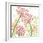 The Favorite Flowers I-Marabeth Quin-Framed Art Print