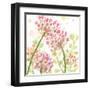 The Favorite Flowers I-Marabeth Quin-Framed Art Print