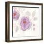 The Favorite Flowers III-Marabeth Quin-Framed Art Print