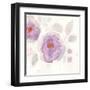 The Favorite Flowers III-Marabeth Quin-Framed Art Print