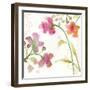 The Favorite Flowers IV-Marabeth Quin-Framed Art Print