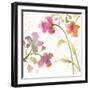 The Favorite Flowers IV-Marabeth Quin-Framed Art Print