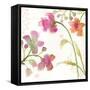 The Favorite Flowers IV-Marabeth Quin-Framed Stretched Canvas