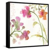 The Favorite Flowers IV-Marabeth Quin-Framed Stretched Canvas