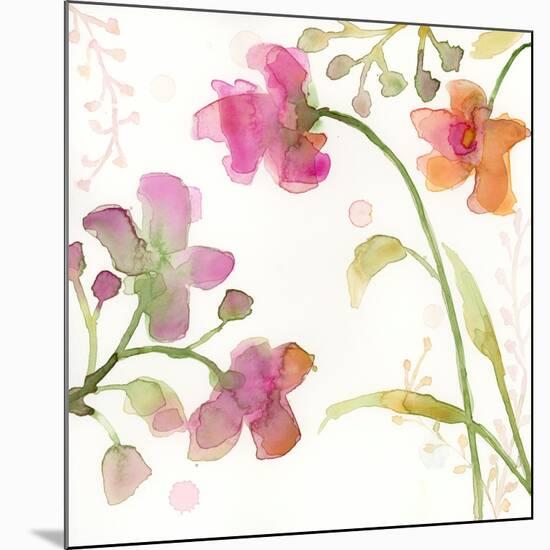 The Favorite Flowers IV-Marabeth Quin-Mounted Art Print