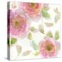 The Favorite Flowers VI-Marabeth Quin-Stretched Canvas