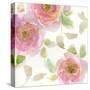 The Favorite Flowers VI-Marabeth Quin-Stretched Canvas