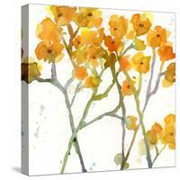 The Favorite Flowers VIII-Marabeth Quin-Stretched Canvas