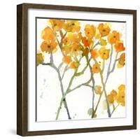 The Favorite Flowers VIII-Marabeth Quin-Framed Art Print