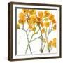 The Favorite Flowers VIII-Marabeth Quin-Framed Art Print