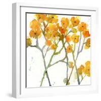 The Favorite Flowers VIII-Marabeth Quin-Framed Art Print