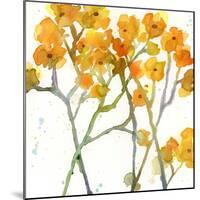 The Favorite Flowers VIII-Marabeth Quin-Mounted Art Print