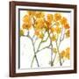 The Favorite Flowers VIII-Marabeth Quin-Framed Art Print