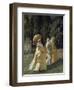 The Favorites in the Park, 1870-Cesare Biseo-Framed Giclee Print