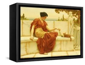 The Favourite, 1901-John William Godward-Framed Stretched Canvas