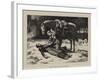 The Favourite of the Regiment-John Dawson Watson-Framed Giclee Print