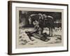 The Favourite of the Regiment-John Dawson Watson-Framed Giclee Print