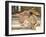 The Favourite Poet, 1888-Sir Lawrence Alma-Tadema-Framed Giclee Print