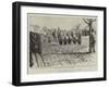 The Fear of the Camera in South Africa-null-Framed Giclee Print