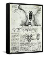 The Female Sexual Organs, Facsimile Copy-Leonardo da Vinci-Framed Stretched Canvas