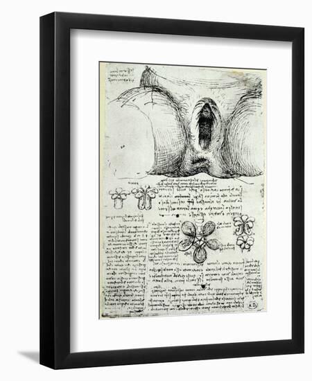 The Female Sexual Organs, Facsimile Copy-Leonardo da Vinci-Framed Giclee Print