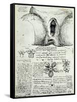 The Female Sexual Organs, Facsimile Copy-Leonardo da Vinci-Framed Stretched Canvas