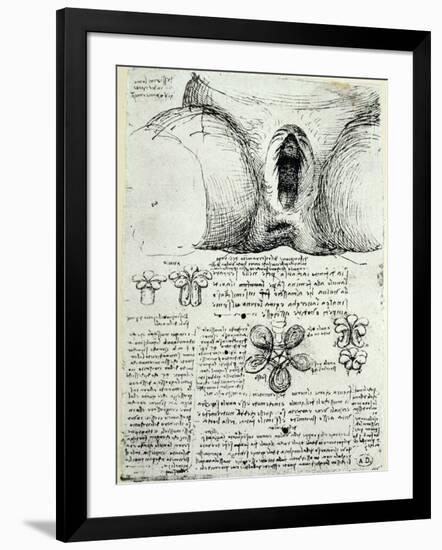 The Female Sexual Organs, Facsimile Copy-Leonardo da Vinci-Framed Giclee Print