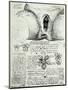 The Female Sexual Organs, Facsimile Copy-Leonardo da Vinci-Mounted Premium Giclee Print
